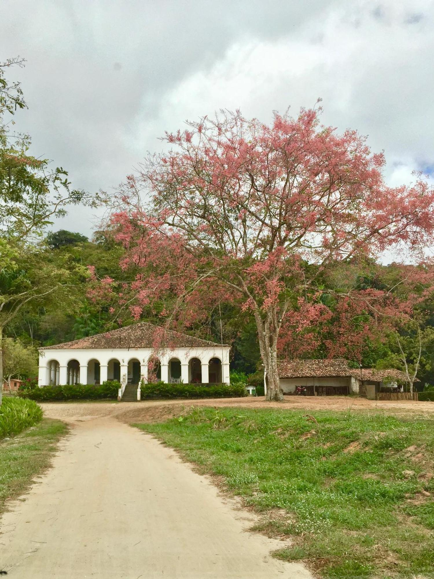 Chale Suico - Chales Belo Monte - Sitio Belo Monte Pacoti Kültér fotó