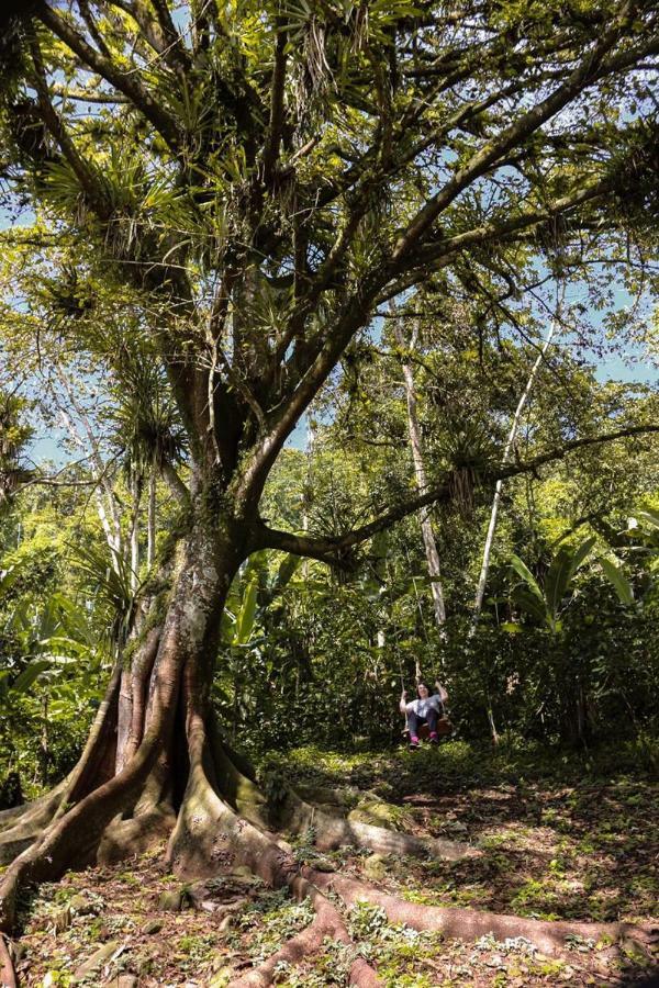 Chale Suico - Chales Belo Monte - Sitio Belo Monte Pacoti Kültér fotó