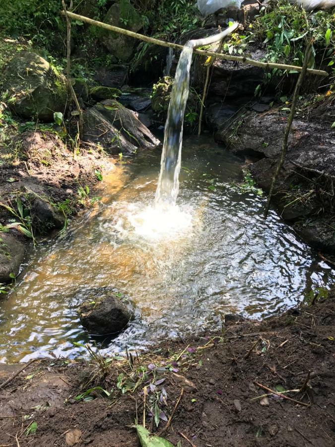 Chale Suico - Chales Belo Monte - Sitio Belo Monte Pacoti Kültér fotó